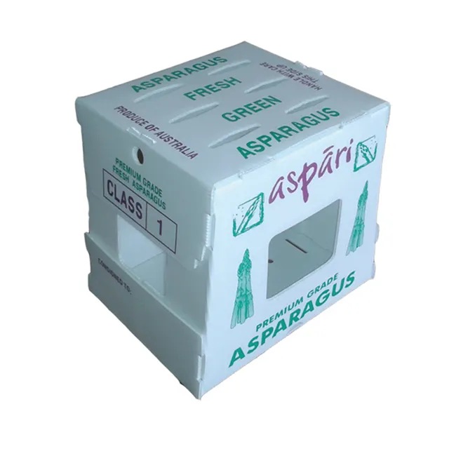 Packaging Box Folding Fruit Box for Fruit Fresh Fruit Packing Box Recyclable PP Corrugated Plastic Wholesale Clear Plastic