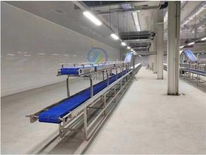การประชุมเชิงปฏิบัติการโรงฆ่าสัตว์สายการแยกเนื้อสัตว์พร้อมเครื่องซักผ้าลังสายพานลําเลียงอัตโนมัติสําหรับเนื้อแกะหมูไก่ใช้ - Product Image 4