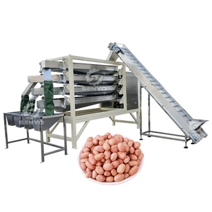 Máquina de clasificación óptica de macadaia Nuts, equipo de clasificación de nueces de fábrica - Product Image 6