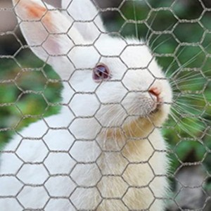 <strong>Hexagonal</strong> <strong>wire</strong> mesh <strong>net</strong> weaving <strong>machine</strong> <strong>automatic</strong> chicken farming <strong>hexagonal</strong> mesh making <strong>machine</strong> China factory - Product Image 6