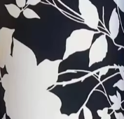 color 2