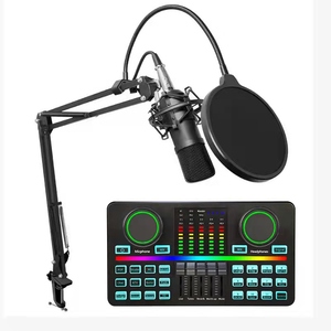 OEM Studio Recording Dual Live Broadcast <strong>Audio</strong> Interface D9 48V Supply USB Type C Sound Card and BM700 <strong>Microphone</strong> - Product Image 2