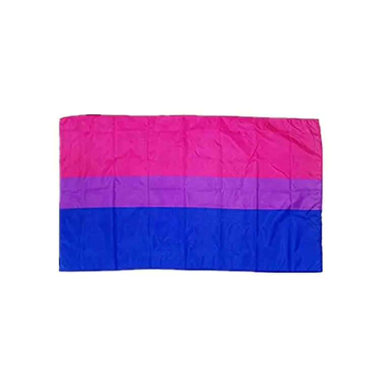 Bandiera dell'arcobaleno di orgoglio gay lesbico variopinto del poliestere durevole di progettazione su ordinazione