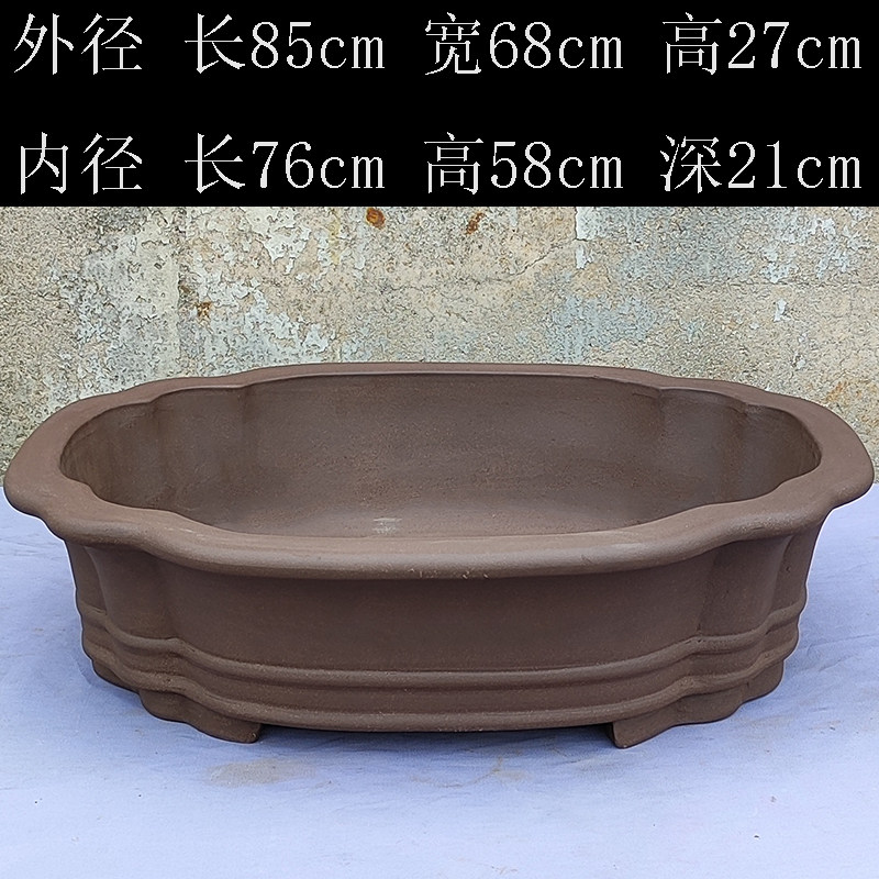 Pot de bégonia de taille moyenne