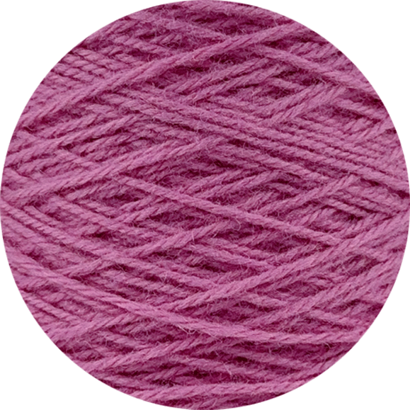 C10 Viola Rosa
