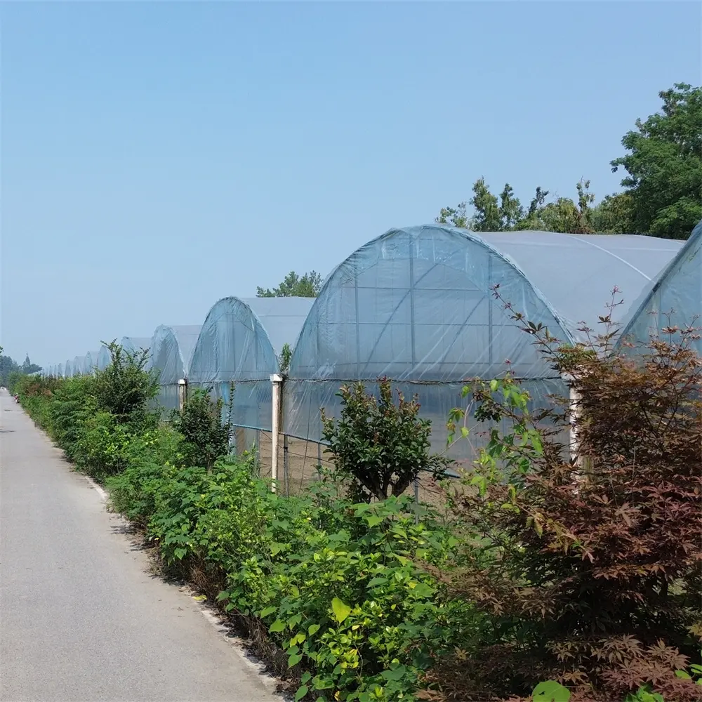 Personalizado Multi-span Grande Terra Agrícola Filme Estufa Plantação De Tomate Estufa Para Plantas Crescendo