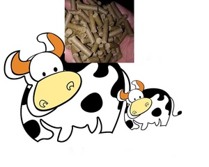 2000 U/g, 10000 U/g Cellulase enzym für Futtermittel, Fermentation, Brauen, Textil, Papier herstellung - Product Image 3