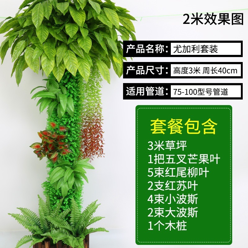 Ensemble d'eucalyptus vert D