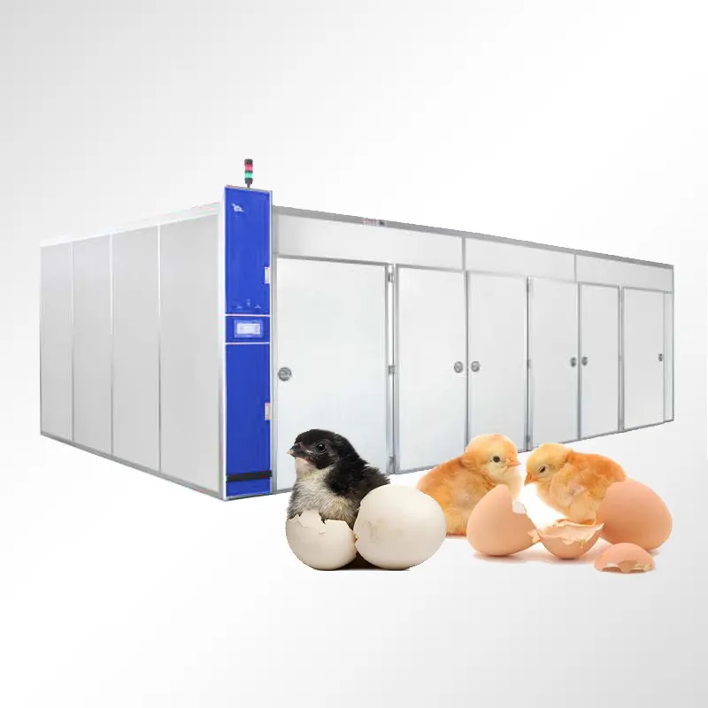 حاضنة دجاج اللاحم الأوتوماتيكية بالكامل من TCA عالية الجودة وآلة تفقيس البيض