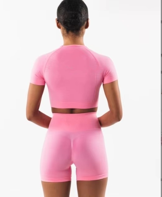 Rose bébé