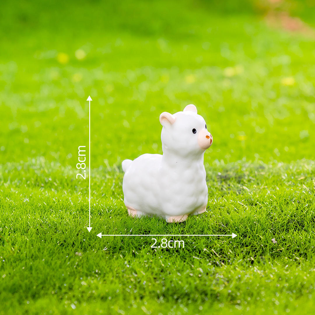 อัลปาก้า หมายเลข6