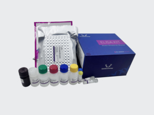 Human ENPP2(Ectonucleotide <strong>Pyrophosphatase</strong>/Phosphodiesterase 2) ELISA Kit for Research Use - Product Image 3