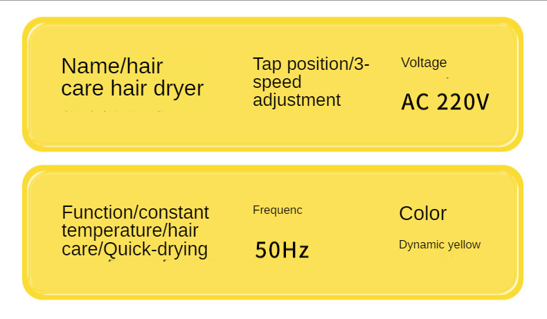 Hot Selling 800W Salon Professional DC Motor Concentrator/Ionic and Induction Function Professional blow Hair dryer