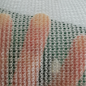 Özel kesme hizmeti ile çiçek bahçesi için 100 Mesh sebze kafes 2m * 5m 50-60 Mesh anti-böcek netleştirme böcek ağları - Product Image 2