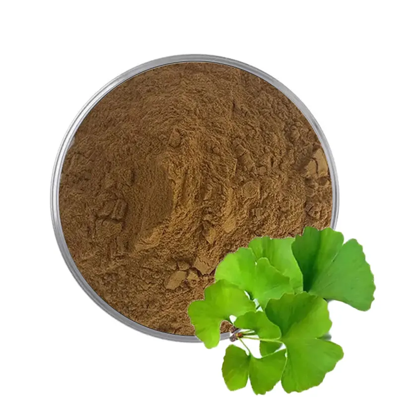 Extrait de Ginkgo Biloba biologique de haute qualité 24% Flavones 6% Lactones Poudre d'extrait de feuille de Ginkgo