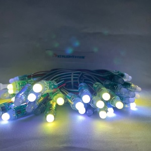50 Stück WS2811 IC RGB Voll farbe 12mm Pixel Digital adressierbar 12V Traum farbe LED Pixel Modul IP68 Wasserdichtes Licht - Product Image 5