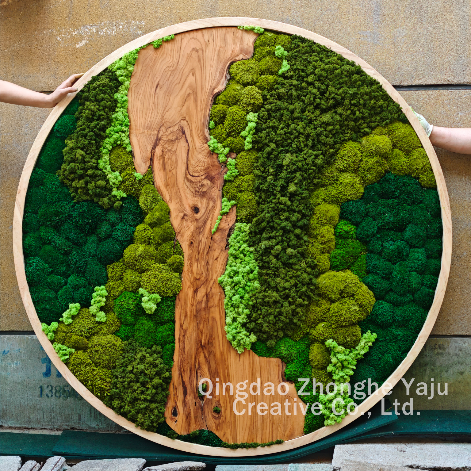 Círculo de arte de pared de musgo preservado