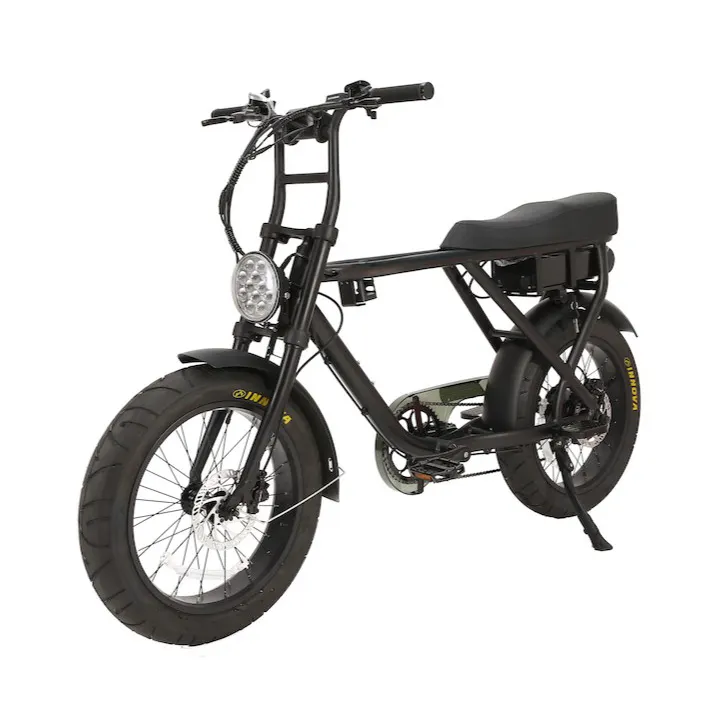 Bicicleta elétrica Fat Bike para praia, quadro em liga de alumínio, 36V, 48V, 250W, 500W, 750W, 1000W, 20 polegadas, pneu gordo, bicicleta elétrica