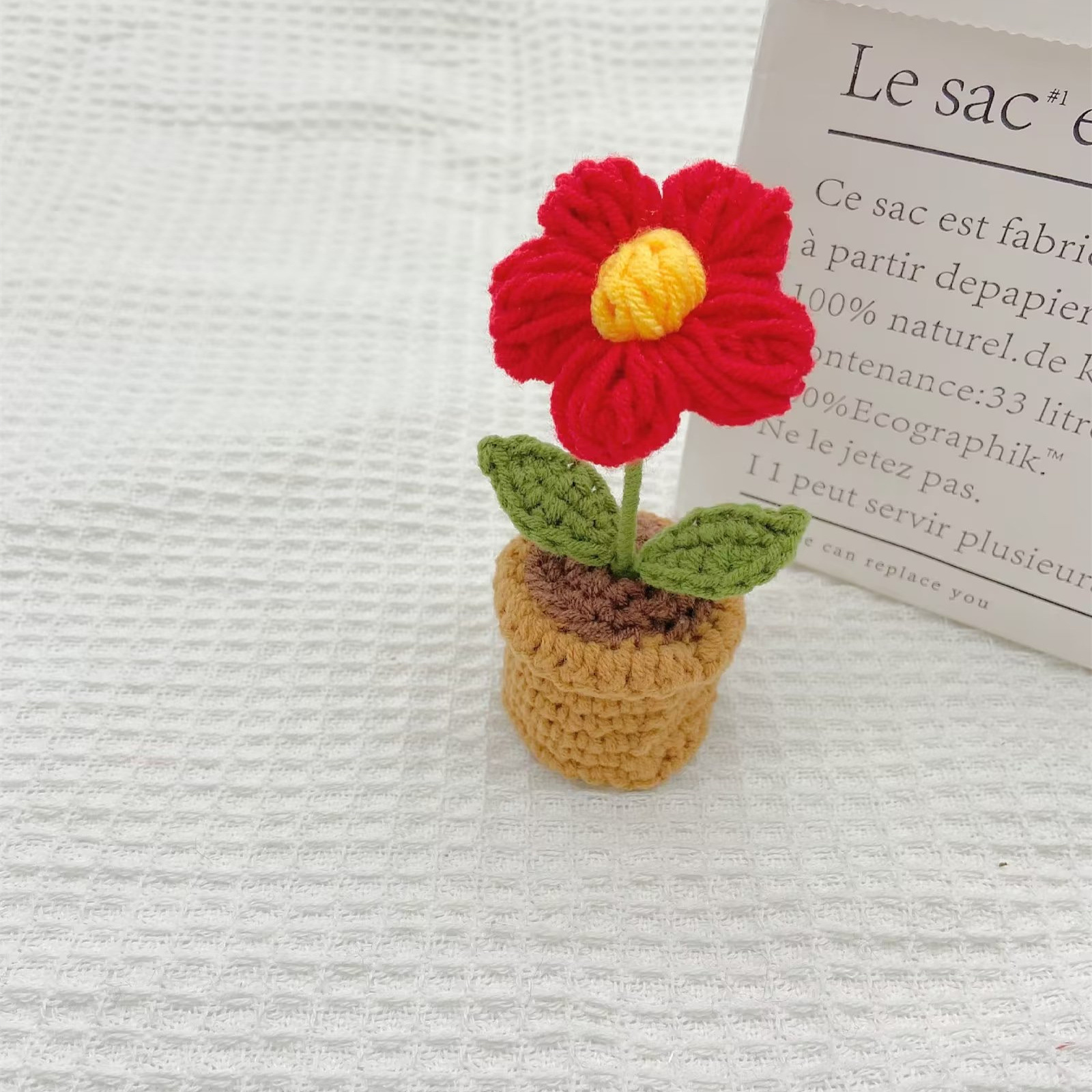 Plante miniature en pot, fleur rouge bouffante - produit fini