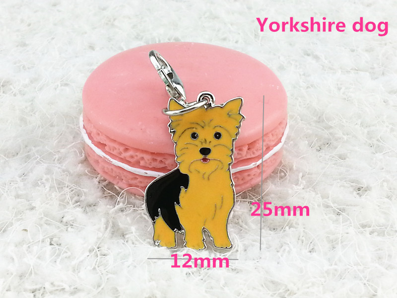 Yorksire dog
