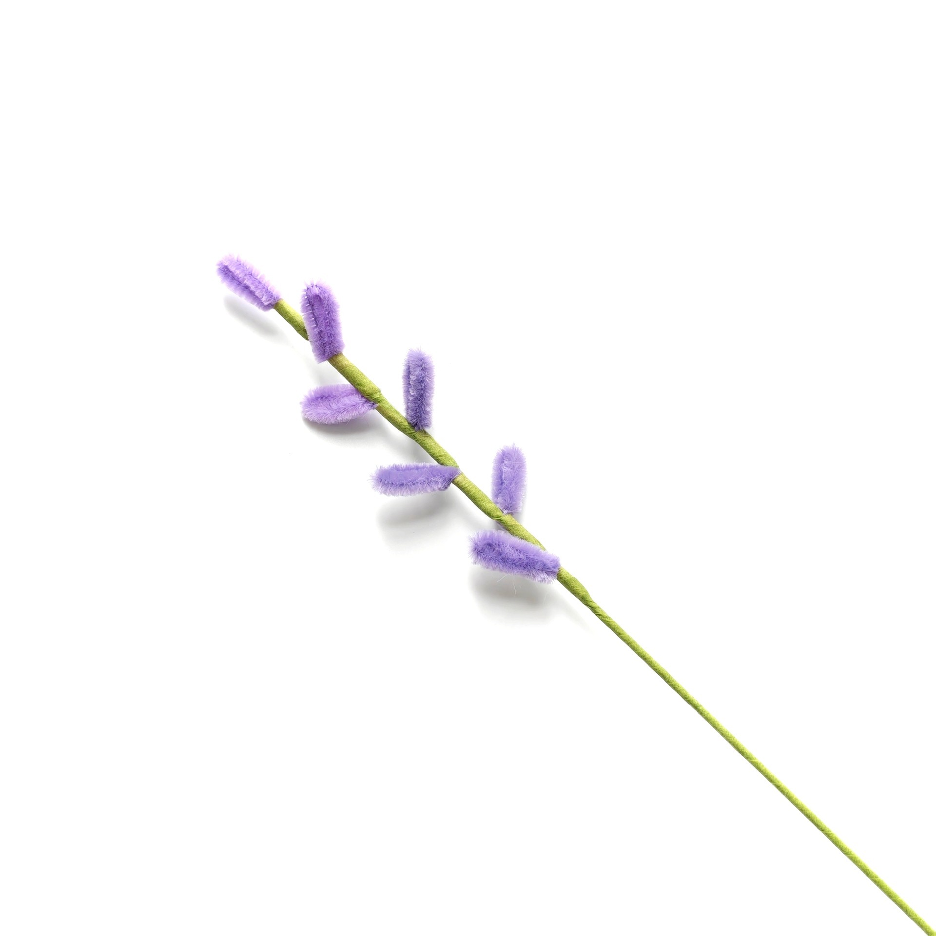Taro Purple