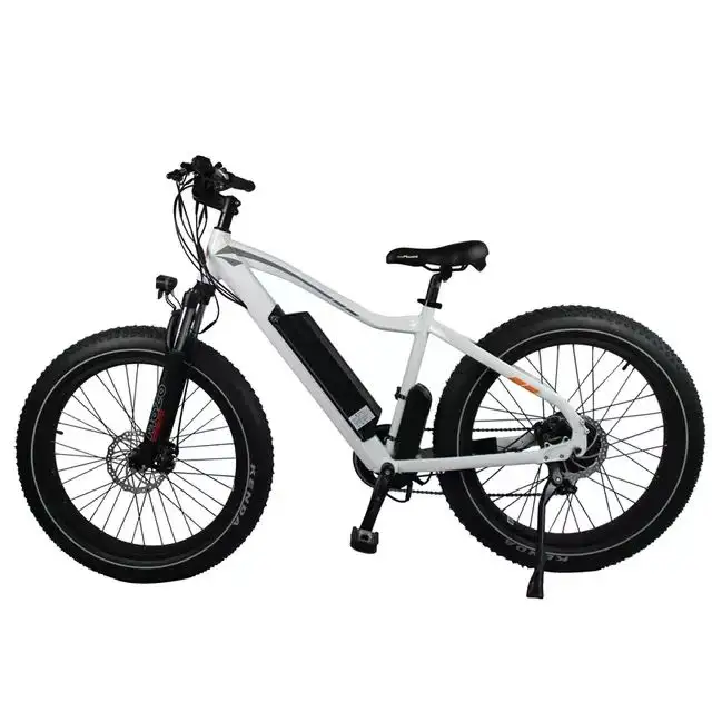 Jante en alliage de magnésium pour vélo électrique, entrepôt européen et européen, grande roue, gros pneus, moteur puissant de 250 pouces, vélo électrique, DP2606