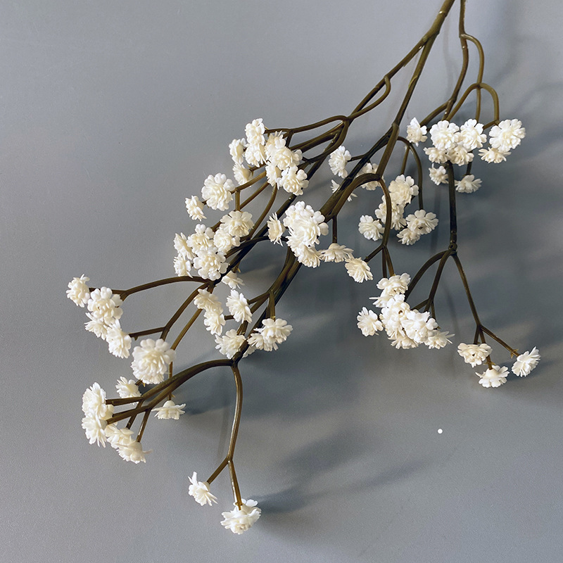 Le blanc de l'automne
