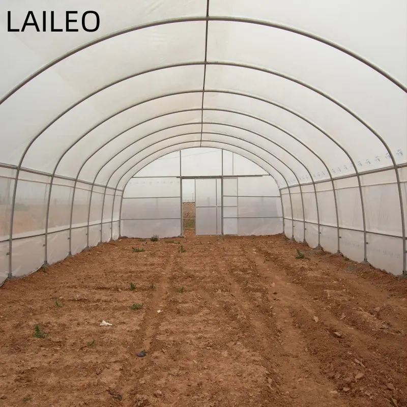 Serra agricola a forma di cupola a forma di serra film capannone in plastica hooped caterpillar tunnel mirtillo fattoria serra