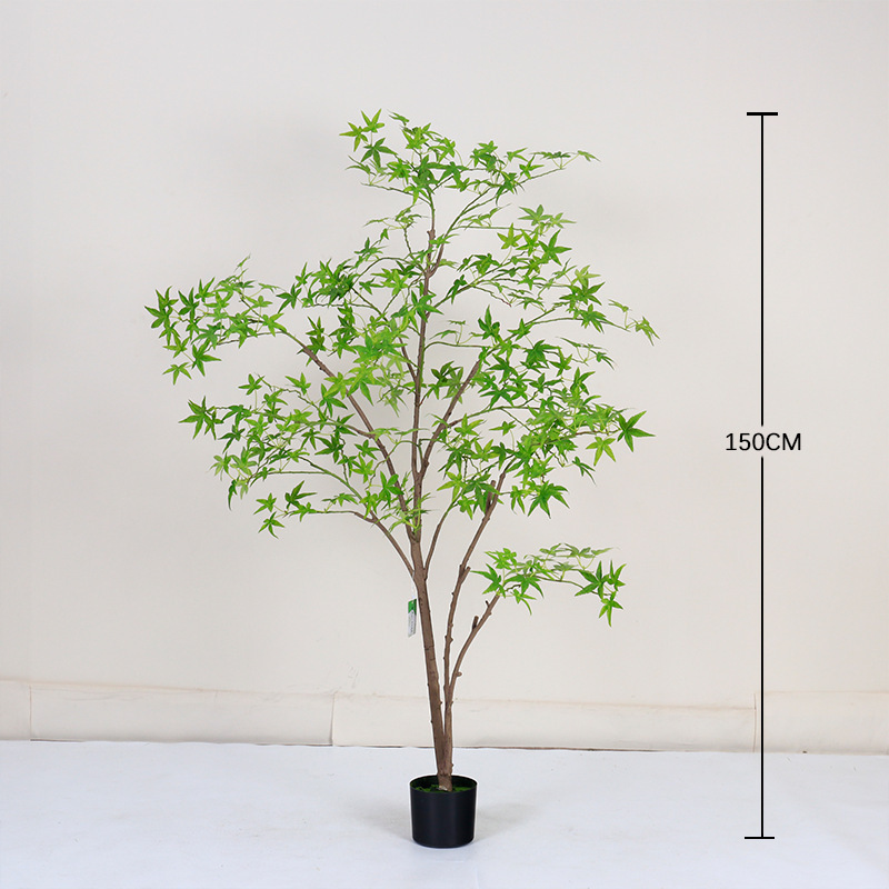 150cm