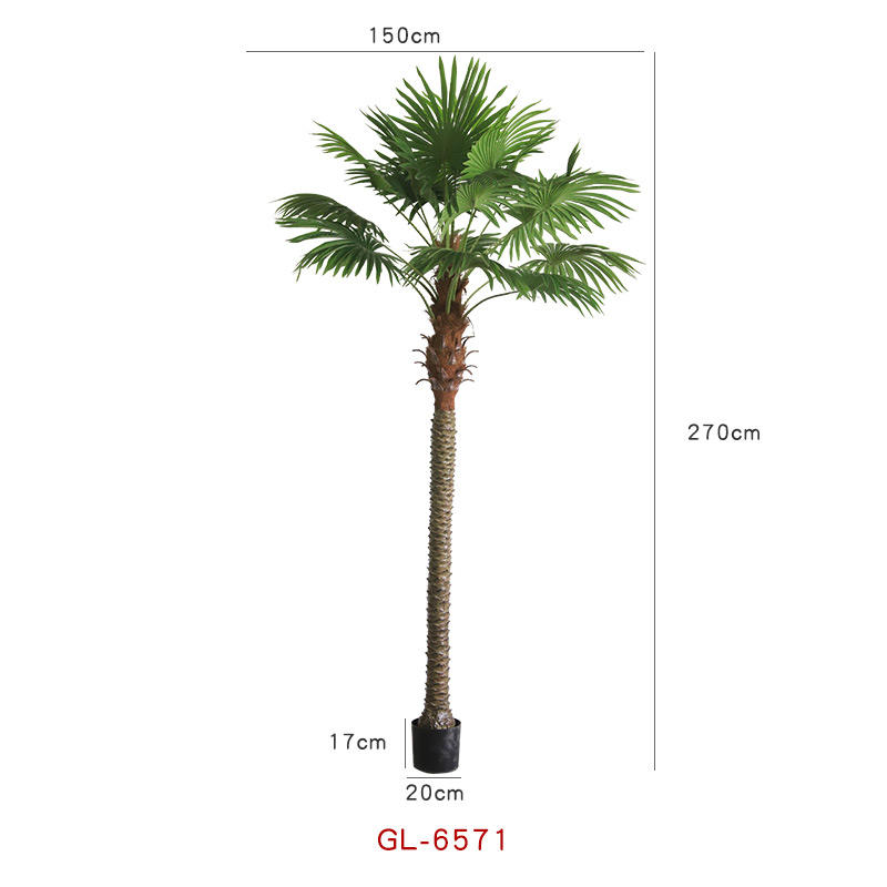 Palm Tree-GL-6571