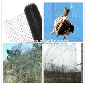 <strong>Anti</strong> <strong>Bird</strong> <strong>Netting</strong> Plastic Catch <strong>Bird</strong> <strong>Netting</strong> Suppliers <strong>Control</strong> <strong>Bird</strong> <strong>Netting</strong> - Product Image 2