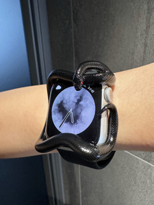 モデルS10/9/8/6/5/4/SE用AppleiWatch用ブラックスネーク保護ケース - Product Image 5