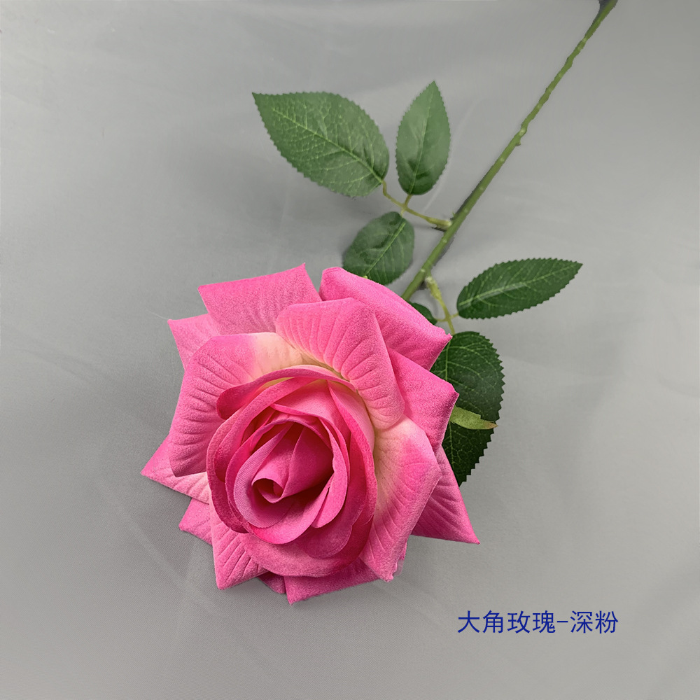 Rosa con cuernos grandes - Rosa intenso