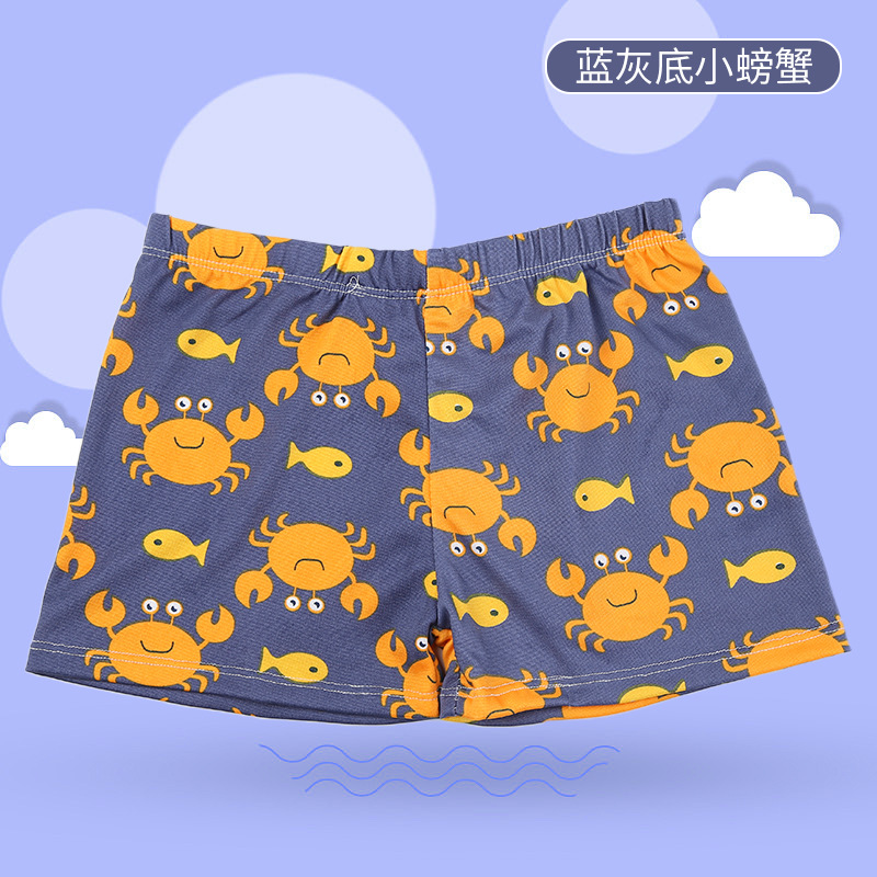 Petit crabe bleu-gris - 39