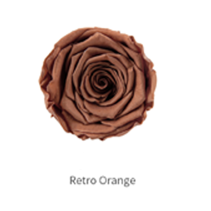 Retro Naranja Grado B 8 Flores