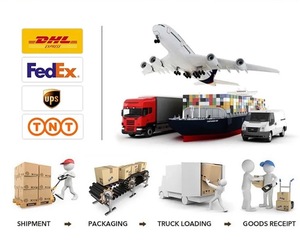 BBC: Kit di apprendimento a scheda singola bit V2.2 e piattaforma di sviluppo Versatile - Product Image 6