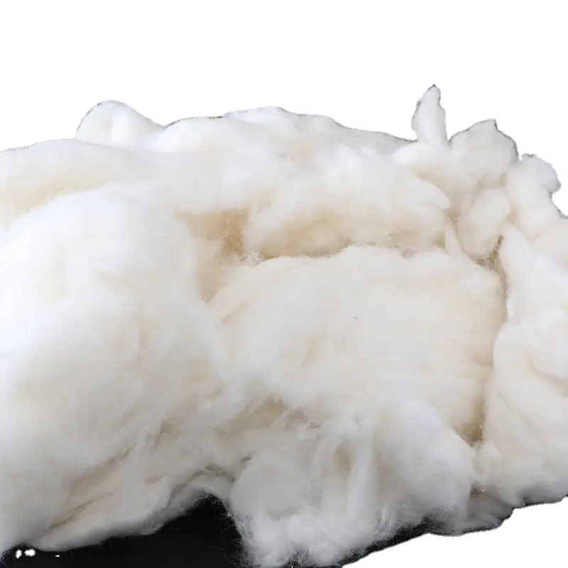 Fibra de lã de ovelha lavada e cuidada para fibra de lã