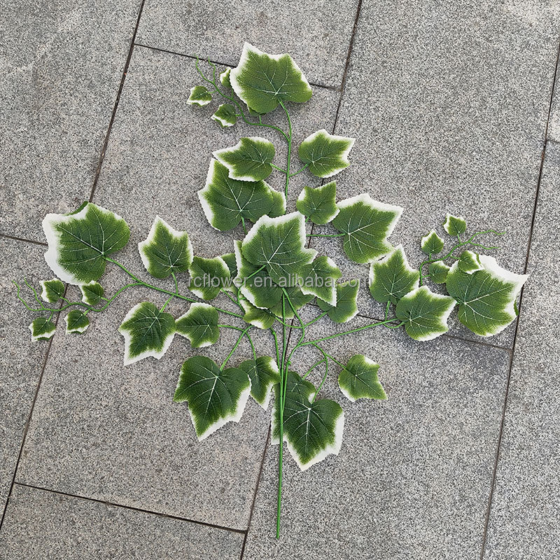 Verde + bianco