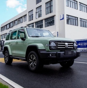 Büyük duvar tankı 300 2.0T benzin yakıt 4Wd 227Ps 167Kw Suv Phev araç 2024 hibrid Ev şehir versiyonu tankı 300 araba