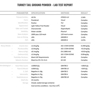 Bột Chiết Xuất Từ Nấm Đuôi Gà Tây Hữu Cơ QST-014 30% Beta Glucan - Product Image 5
