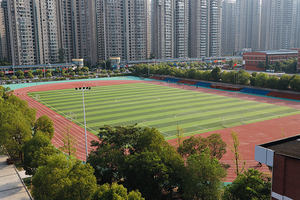 橡胶跑道预制运动跑道跑道铺装 - Product Image 3