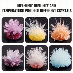 Crystal Planting DIY Science <strong>Experiment</strong> Set Fun Parent-child Communication Chemistry <strong>Experiment</strong> a <strong>Gift</strong> for a Child - Product Image 3