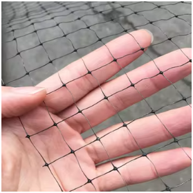 Fabrik 19mm Loch HDPE Kunststoff Anti-Vogel-Netz für Garten & Landwirtschaft Langlebiges Netz mit Schneid service Schutz funktion - Product Image 2