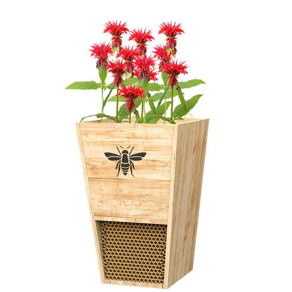 Wood Solitary Mason Bee House Planter Box Combinação OEM Tamanho Preço por atacado