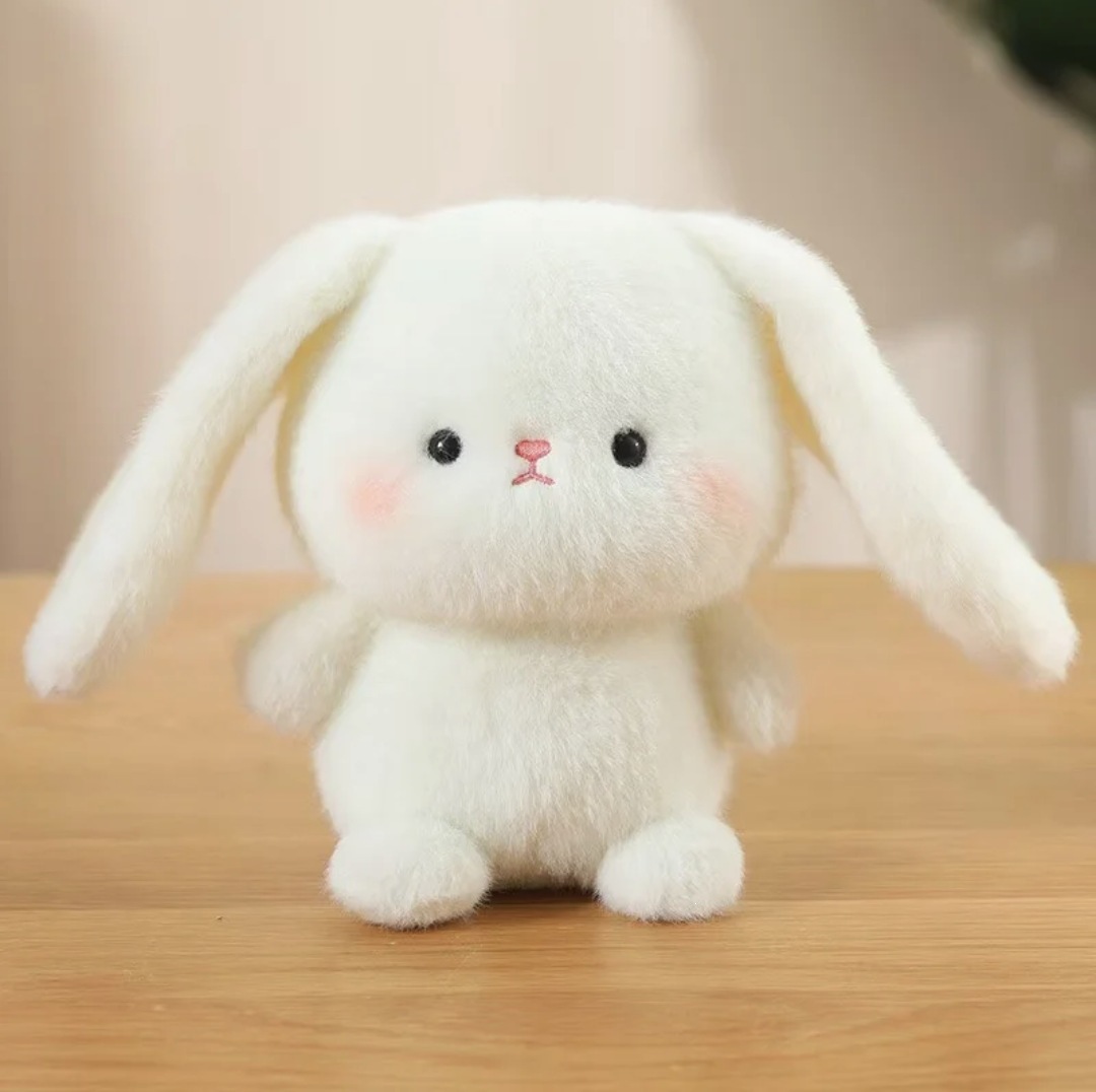 Little bunny