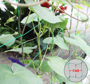 Green Color HDPE Knot Garden <strong>Trellis</strong> Climbing Support <strong>Netting</strong> for Cucumber Vine Fruits Vegetables <strong>Tomato</strong> Climbing Plants - Product Image 6