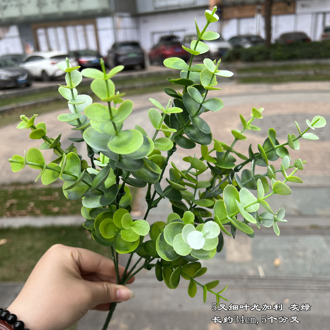 5 tenedores de hoja fina de eucalipto, color verde grisáceo.