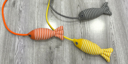 Toy fish