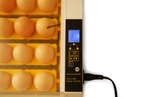 Incubadora de huevos automática con control de temperatura y pantalla HHD 24s LED - Product Image 5