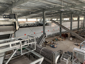 Macadamia Nut Peeling Husking Grading <strong>Sorting</strong> Cleaning Cracking <strong>Shelling</strong> <strong>Kernel</strong> Separating <strong>Machinery</strong> Processing Production Line - Product Image 4